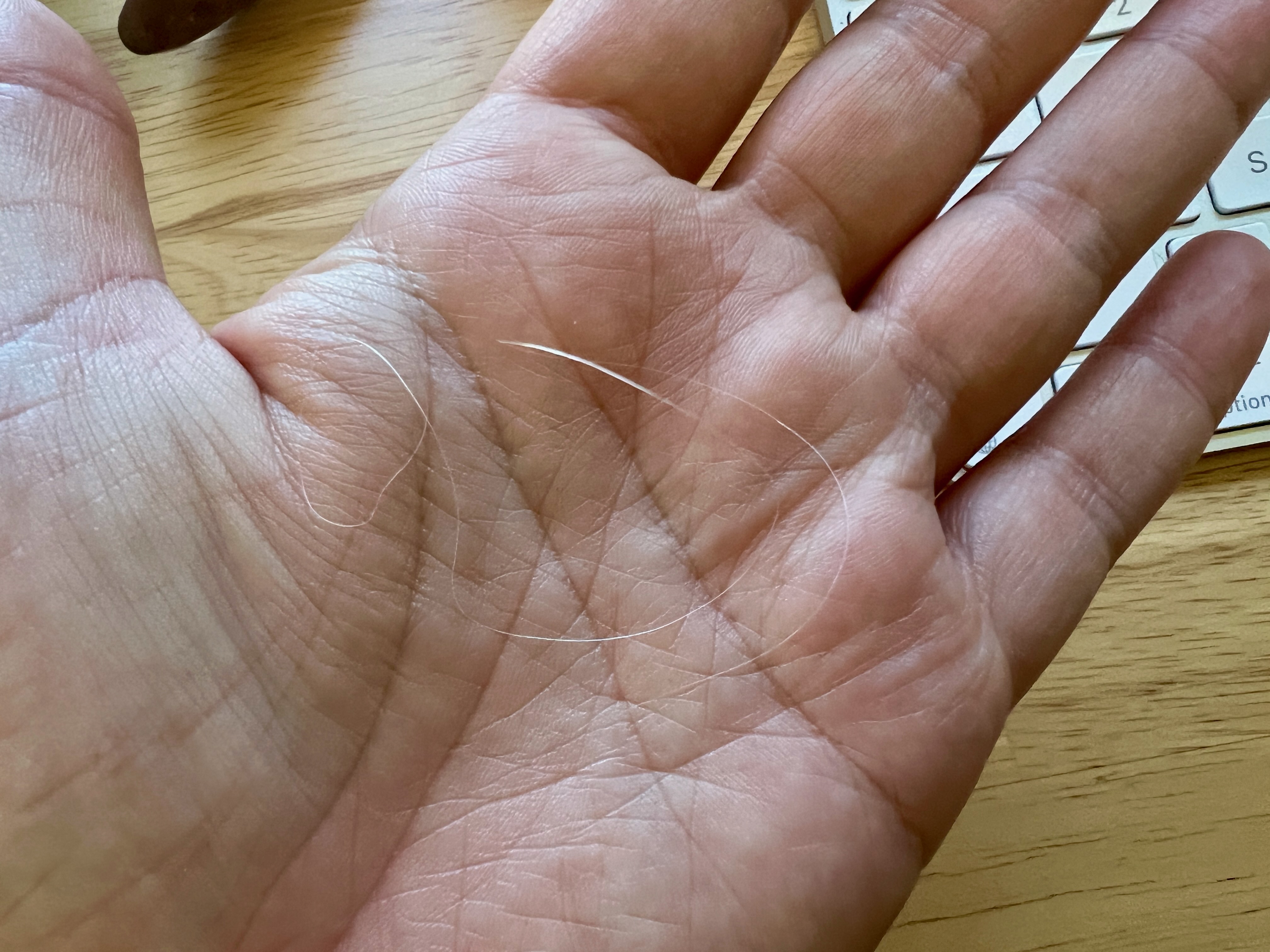 A hand holding a long silver hair.