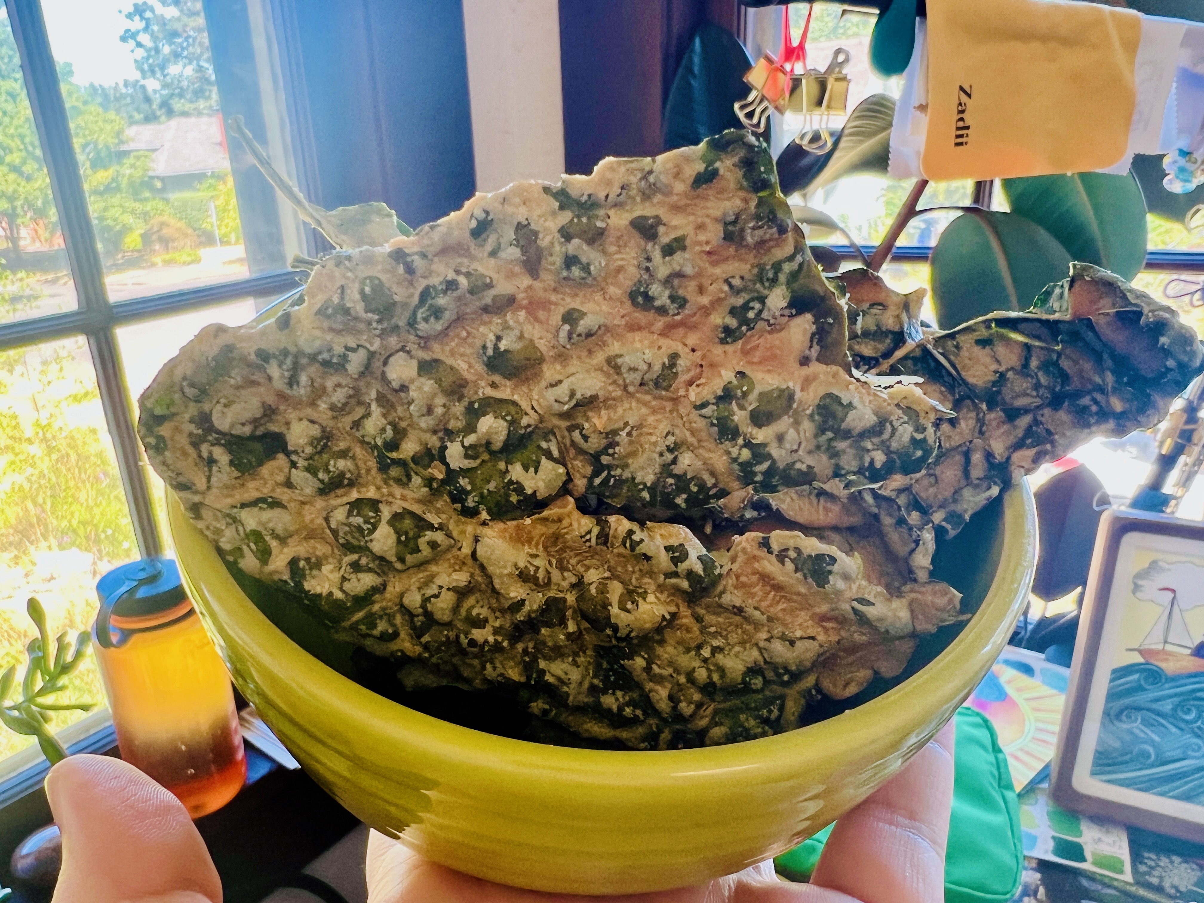 Yellow bowl filled with kale chips, held by a white hand.
