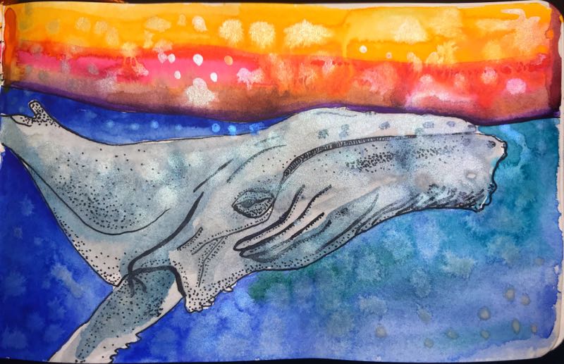Watercolor image of a whale